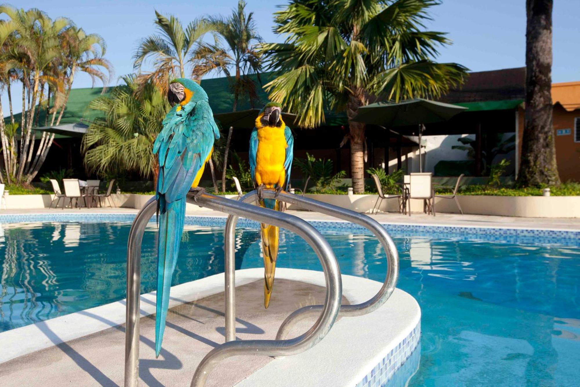 Hotel Anaconda Leticia Bagian luar foto